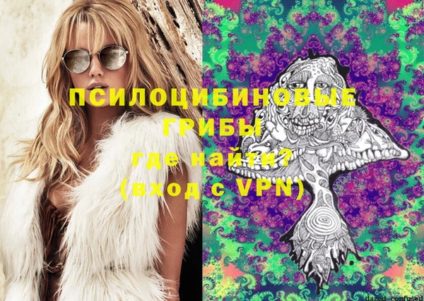 спайс Баксан