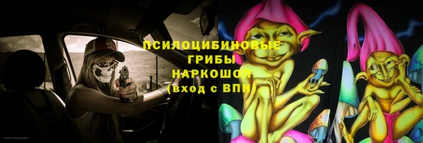 прущая мука Аша