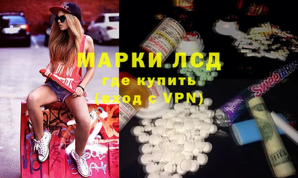 ECSTASY Богданович