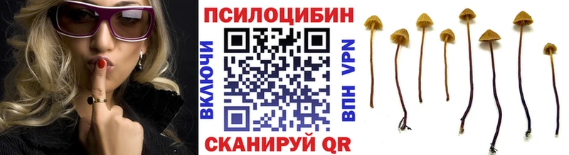 Псилоцибиновые грибы ЛСД  ОМГ ОМГ сайт  Билибино 